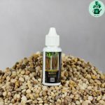 پیشگیری و درمان پوسیدگی ریشه