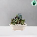 دیش گاردن کد 103