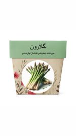 بذر مارچوبه