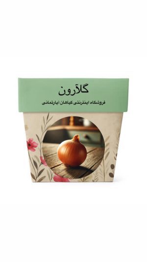 بذر پیاز زرد