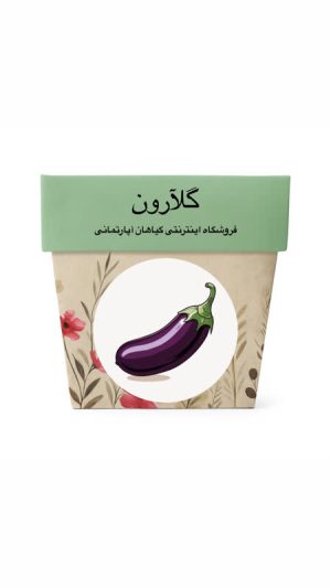 بذر بادمجان قلمی