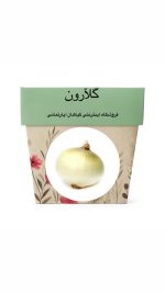 بذر پیاز سفید
