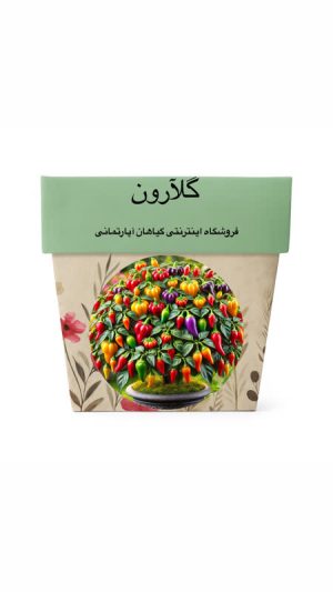 بذر فلفل زینتی