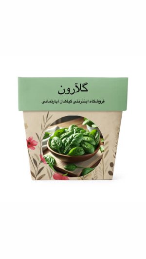 بذر اسفناج