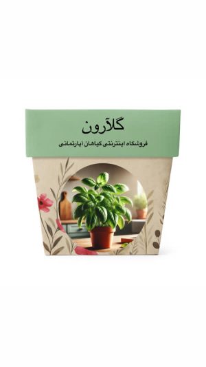 بذر ریحان سبز