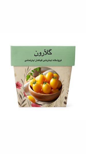 بذر گوجه گلابی زرد