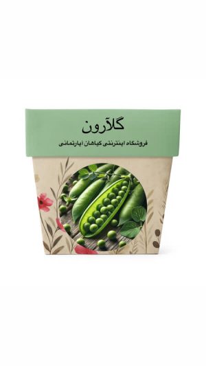 بذر نخود فرنگی
