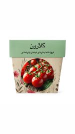 بذر گوجه گیلاسی