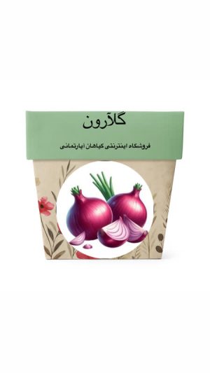 بذر پیاز قرمز