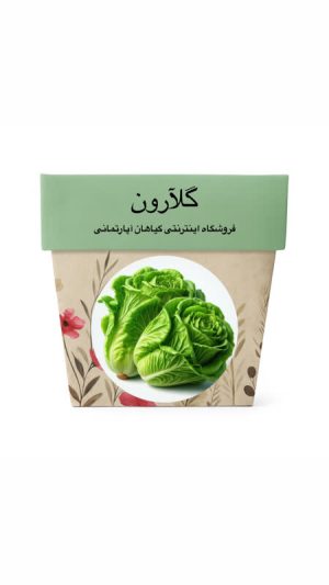 بذر کاهو