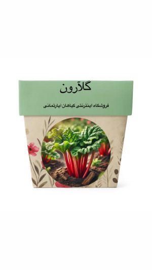 بذر ریواس