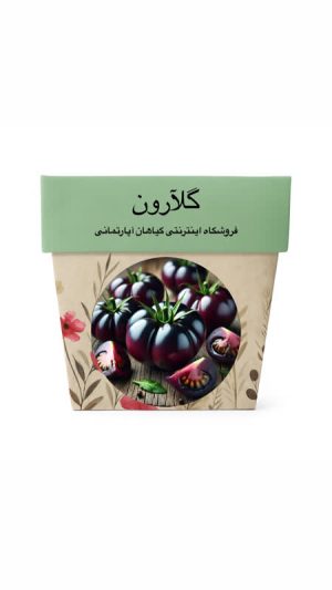 بذر گوجه مشکی
