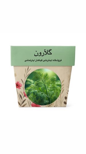 بذر شوید