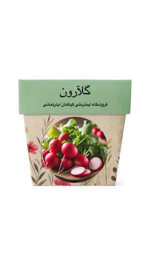 بذر تربچه