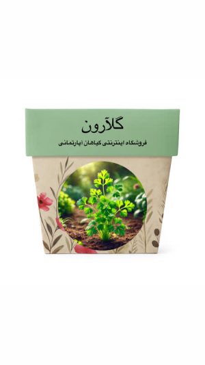 بذر جعفری