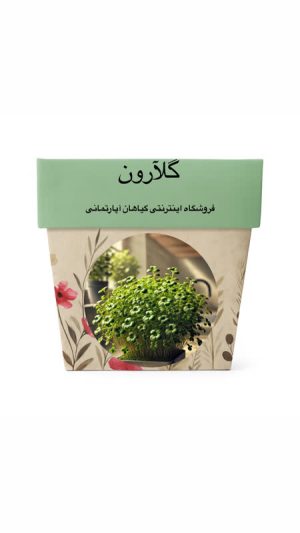 بذر تره شاهی