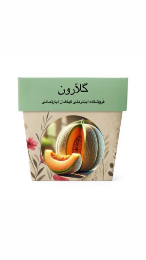 بذر ملون