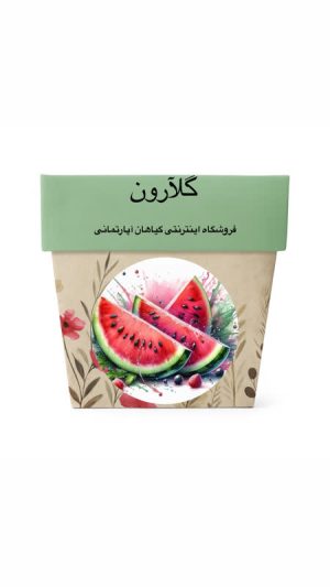 بذر هندوانه
