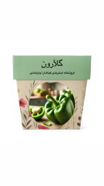 بذر فلفل دلمه ای