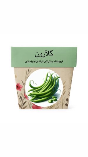 بذر لوبیا سبز