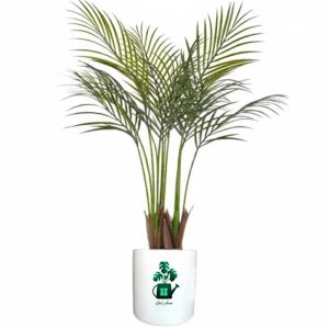 اریکا گلآرون