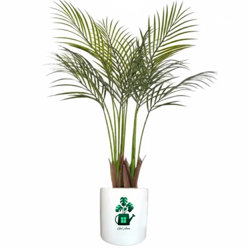 اریکا گلآرون